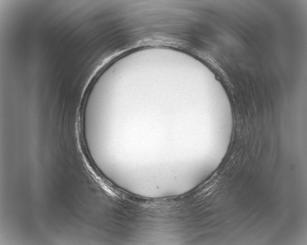 X0000053111040200508081220