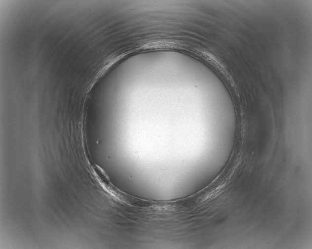 X0000053111041200508081220