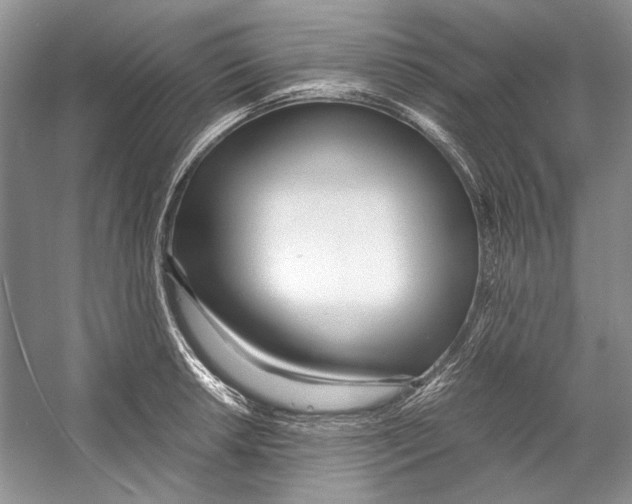 X0000053111042200508081220