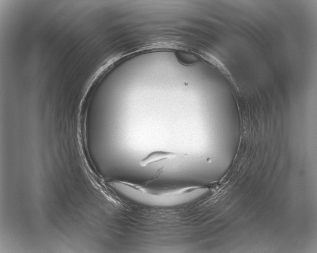 X0000053111043200508081220