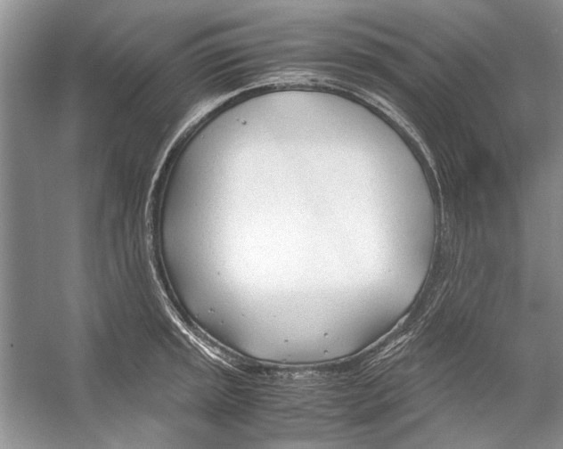 X0000053111045200508081220