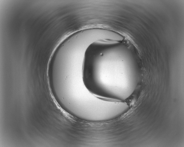 X0000053111046200508081220