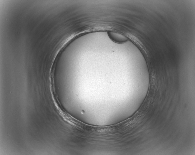 X0000053111047200508081220