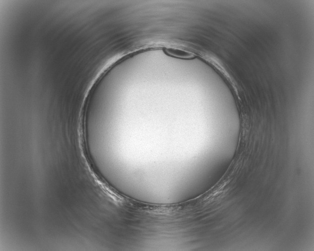 X0000053111048200508081220