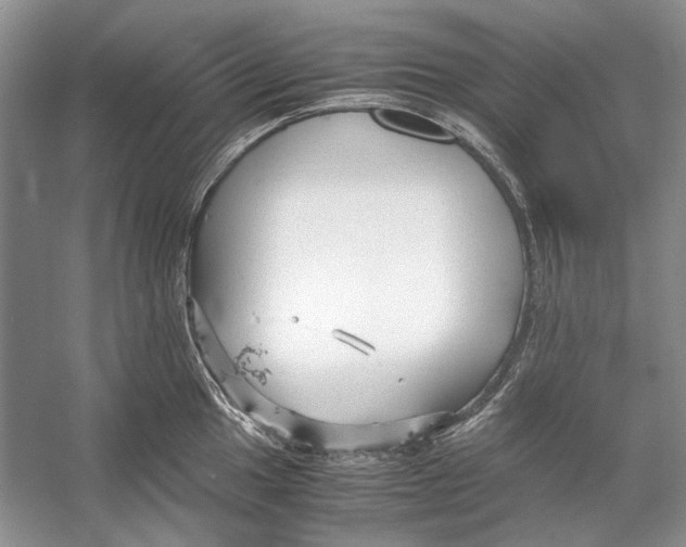 X0000053111049200508081220