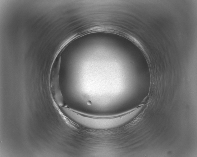 X0000053111050200508081220