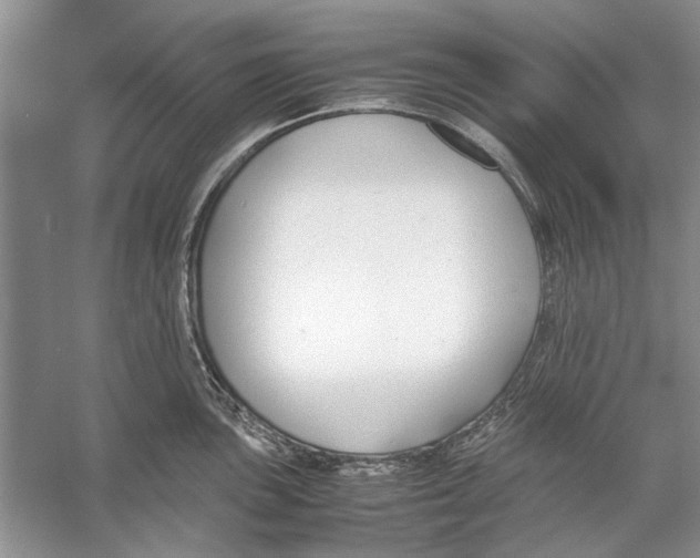 X0000053111051200508081220