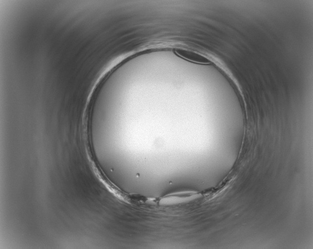 X0000053111053200508081220