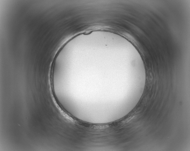 X0000053111055200508081220