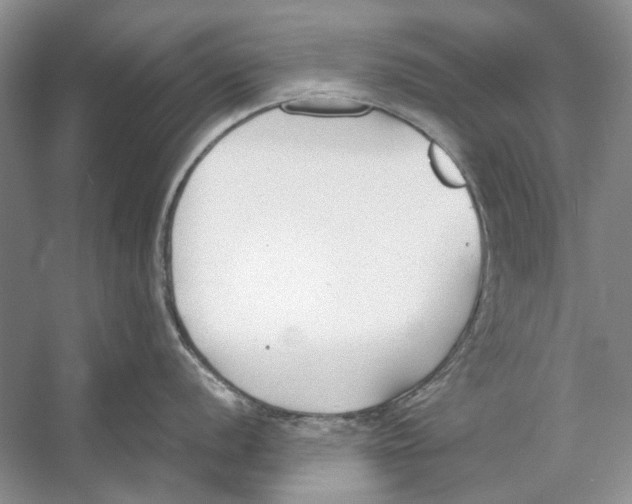 X0000053111056200508081220