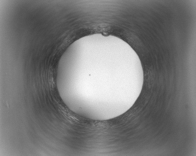 X0000053111058200508081219