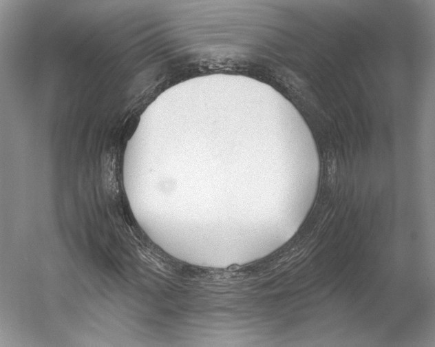 X0000053111060200508081219