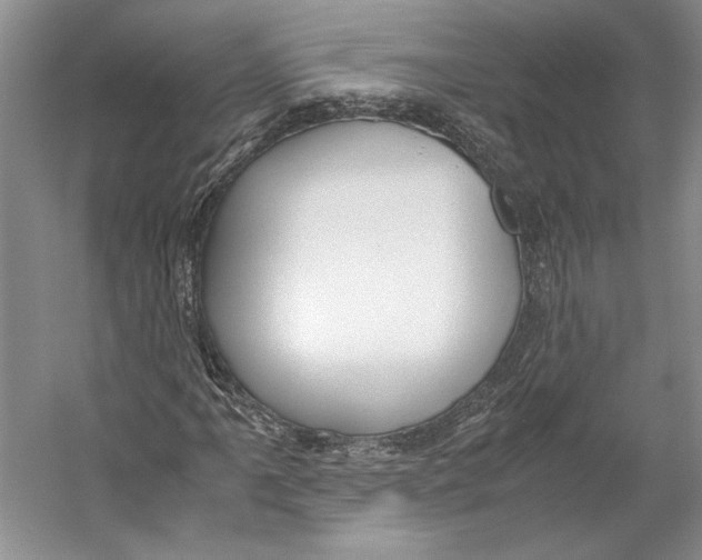 X0000053111061200508081219