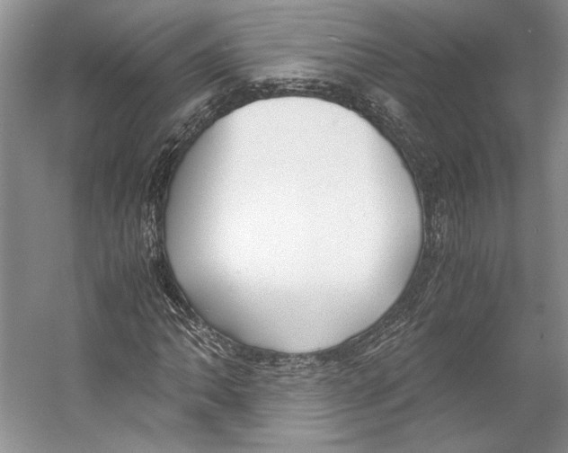 X0000053111062200508081219