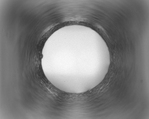 X0000053111064200508081219