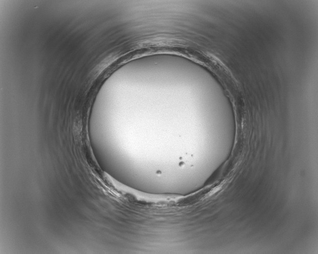 X0000053111065200508081219