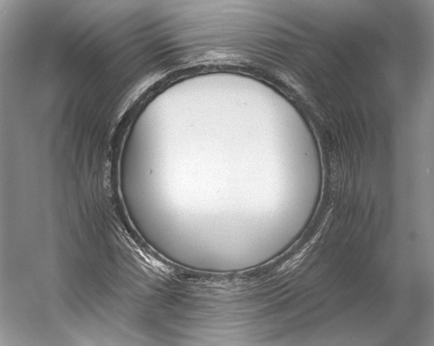 X0000053111066200508081219