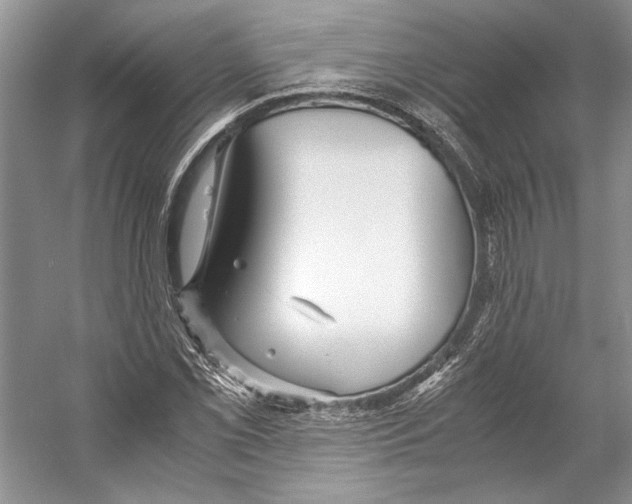 X0000053111069200508081219