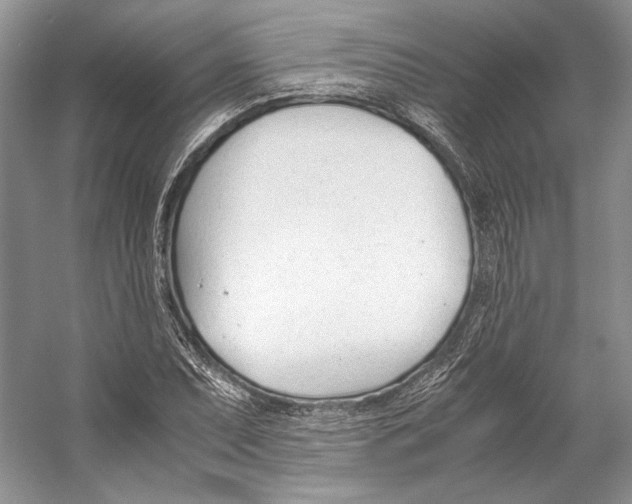 X0000053111071200508081219