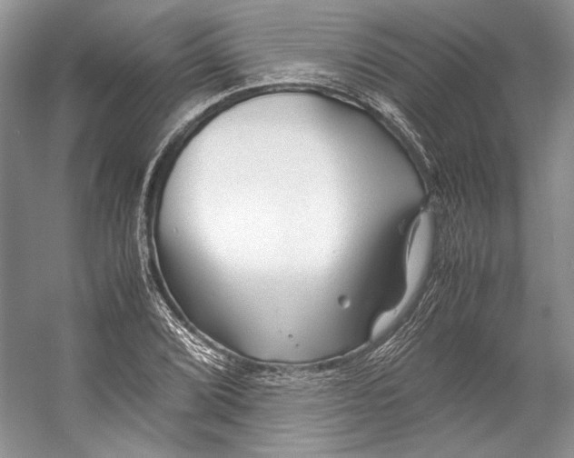 X0000053111072200508081219