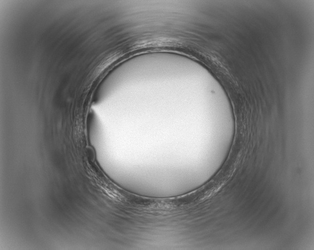 X0000053111073200508081219