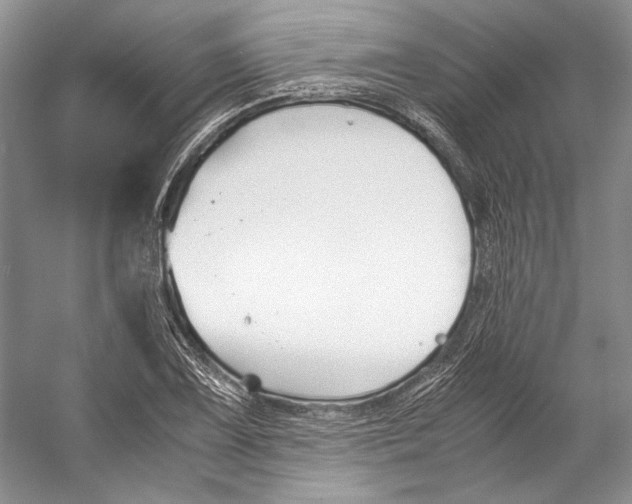 X0000053111075200508081219