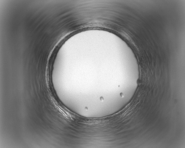 X0000053111076200508081219