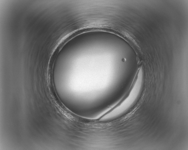 X0000053111077200508081219