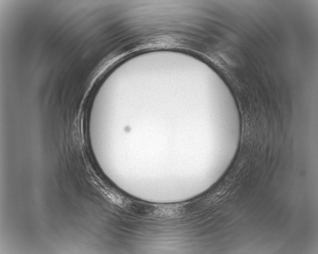 X0000053111078200508081219