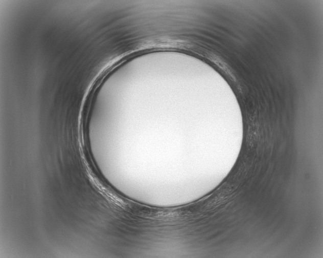 X0000053111080200508081219