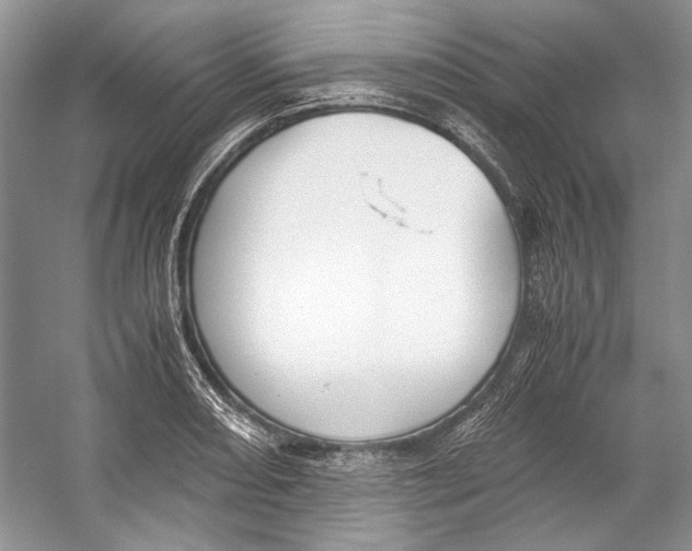 X0000053111082200508081219