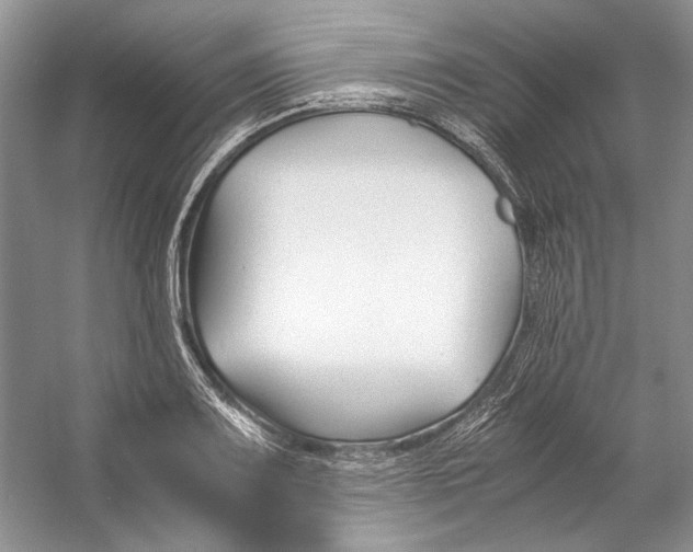 X0000053111083200508081219