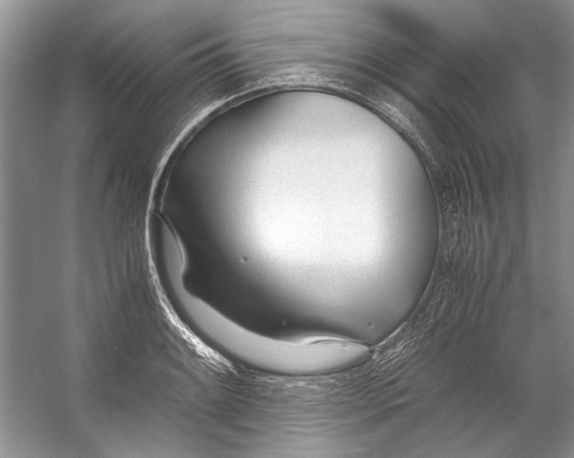 X0000053111084200508081219