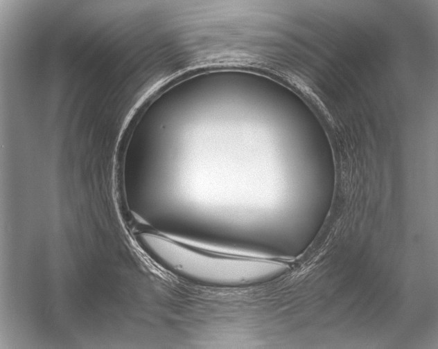 X0000053111085200508081219