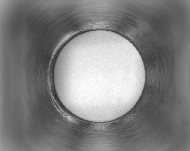 X0000053111086200508081219