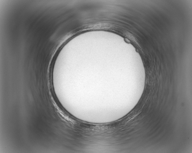 X0000053111087200508081219