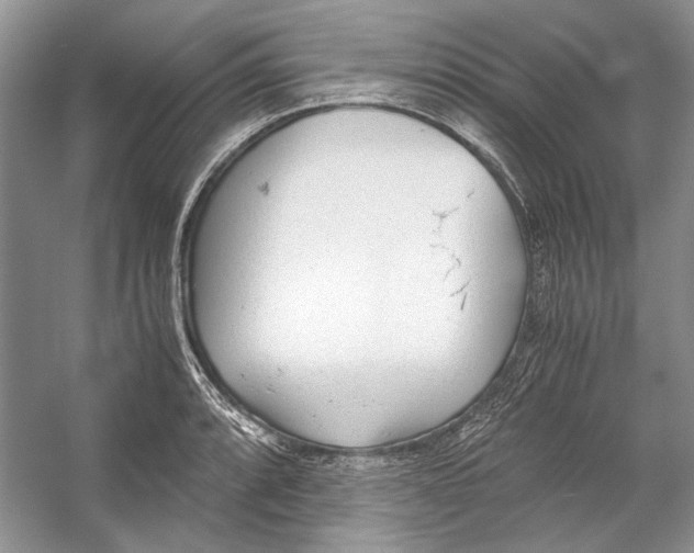 X0000053111088200508081219