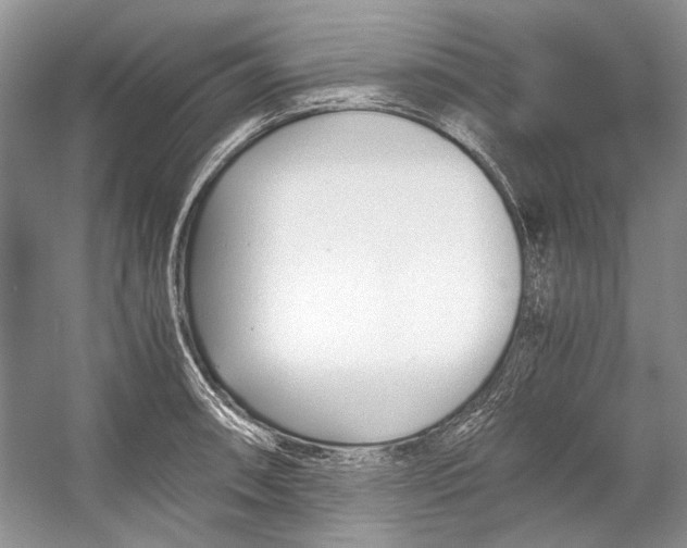 X0000053111090200508081219