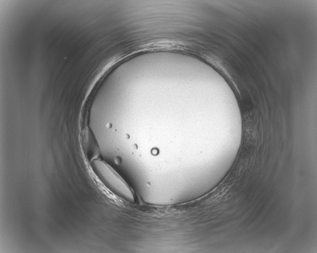 X0000053111091200508081219