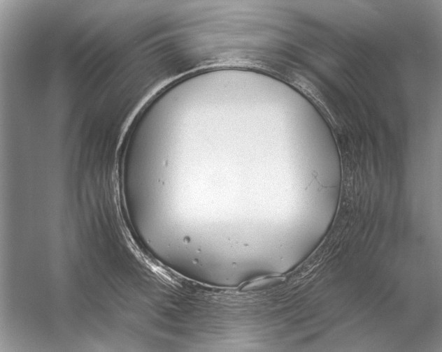 X0000053111092200508081219