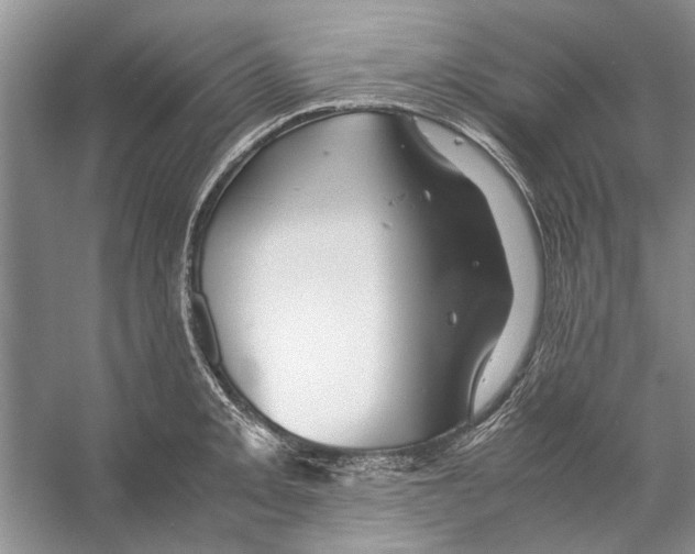 X0000053111093200508081219