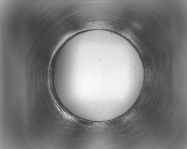 X0000053111094200508081219