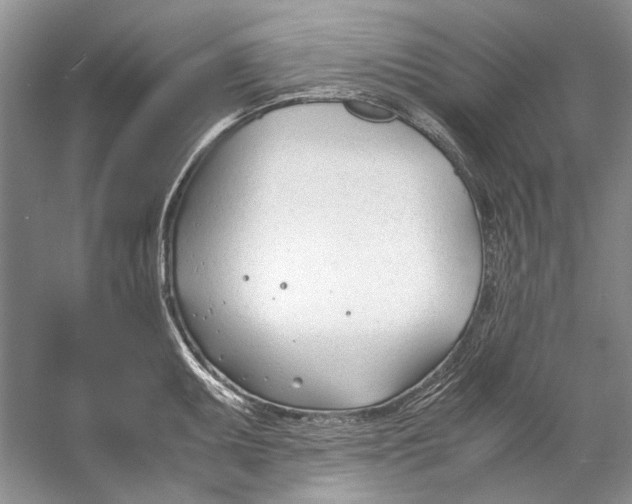 X0000053111095200508081219