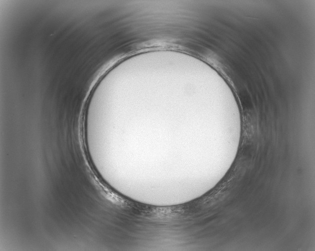 X0000053111098200508081219