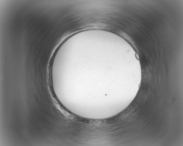 X0000053111099200508081219