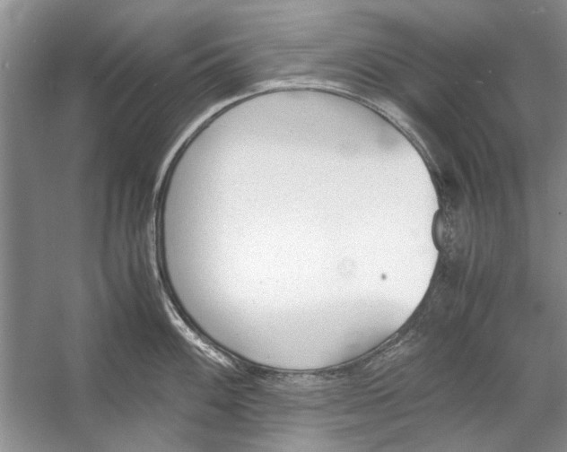 X0000053111100200508081219