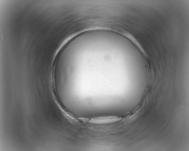 X0000053111101200508081219