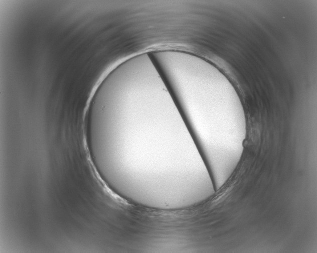 X0000053111102200508081219