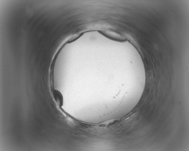 X0000053111103200508081219