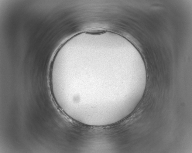 X0000053111104200508081219